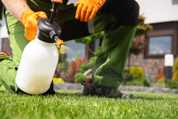 Best Pest Inspection Near Me  in Solana, FL
