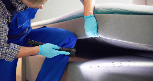 Best Best Pest Control Companies  in Solana, FL