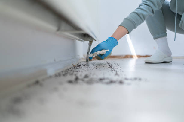 Best Affordable Pest Control Services  in Solana, FL